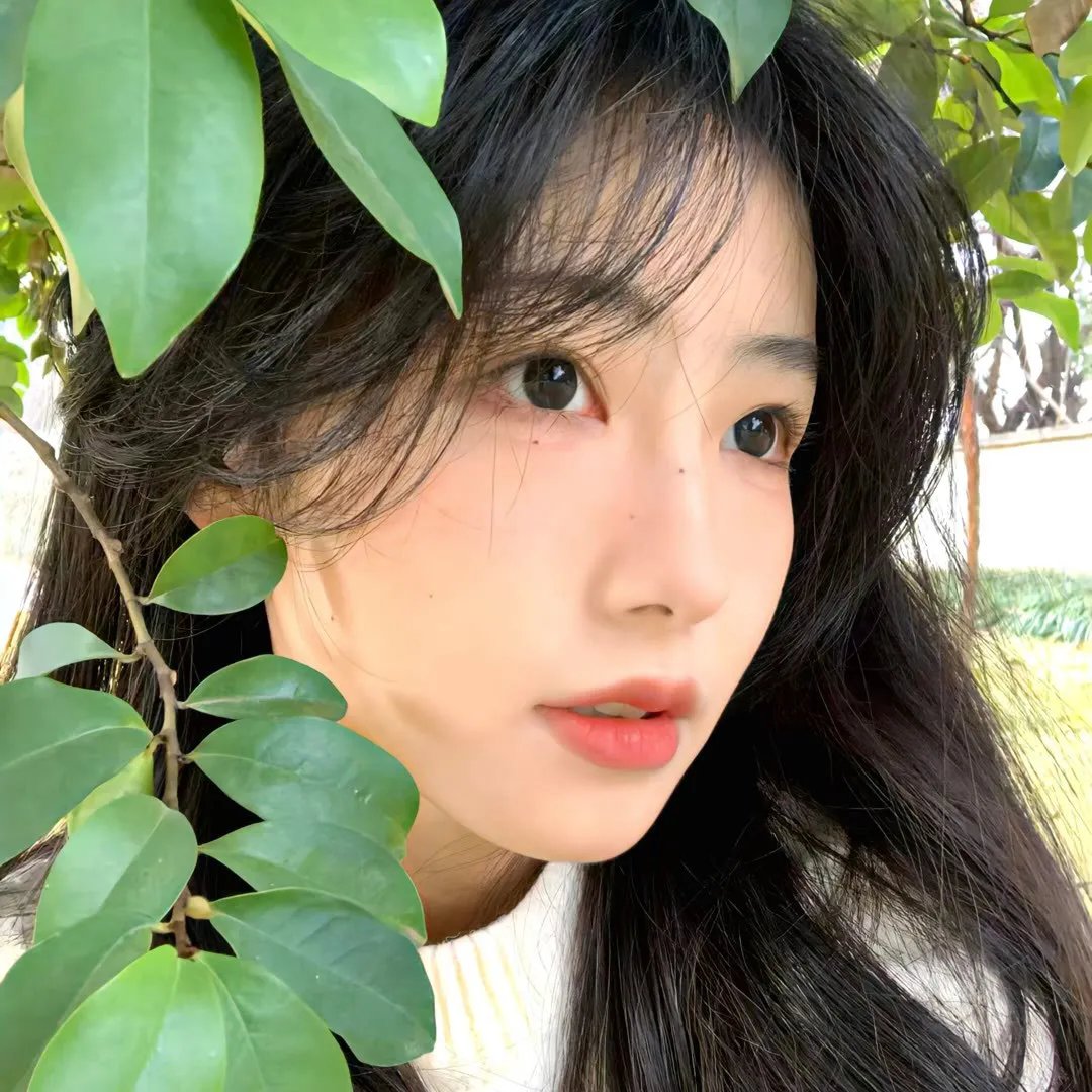秦时明月之沧海横流